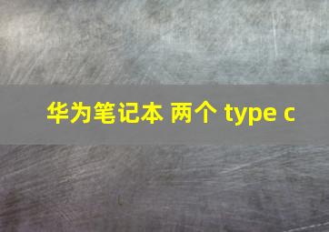 华为笔记本 两个 type c